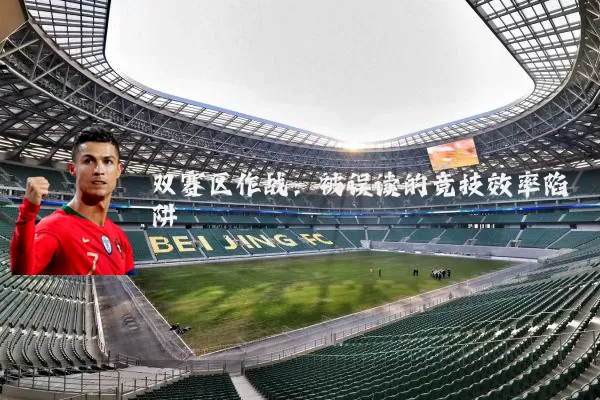 双赛区作战：被误读的竞技效率陷阱