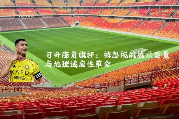 可升降角旗杆：被忽视的战术变量与地理适应性革命